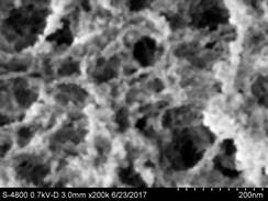 说明: E:\扫描电镜\2017\气凝胶高分子改性\4_m004.jpg