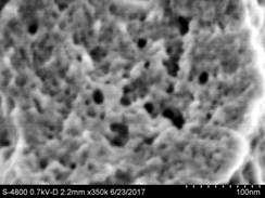 说明: E:\扫描电镜\2017\气凝胶高分子改性\1-0_m004.jpg